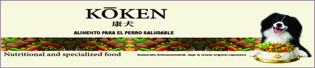imagenes para website22
